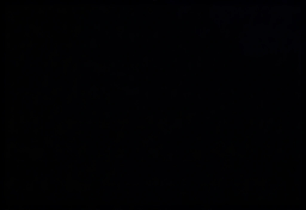 Post-Production High Fidelity